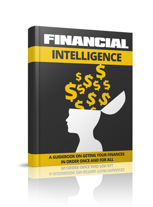 Product picture Financial Intelligance 